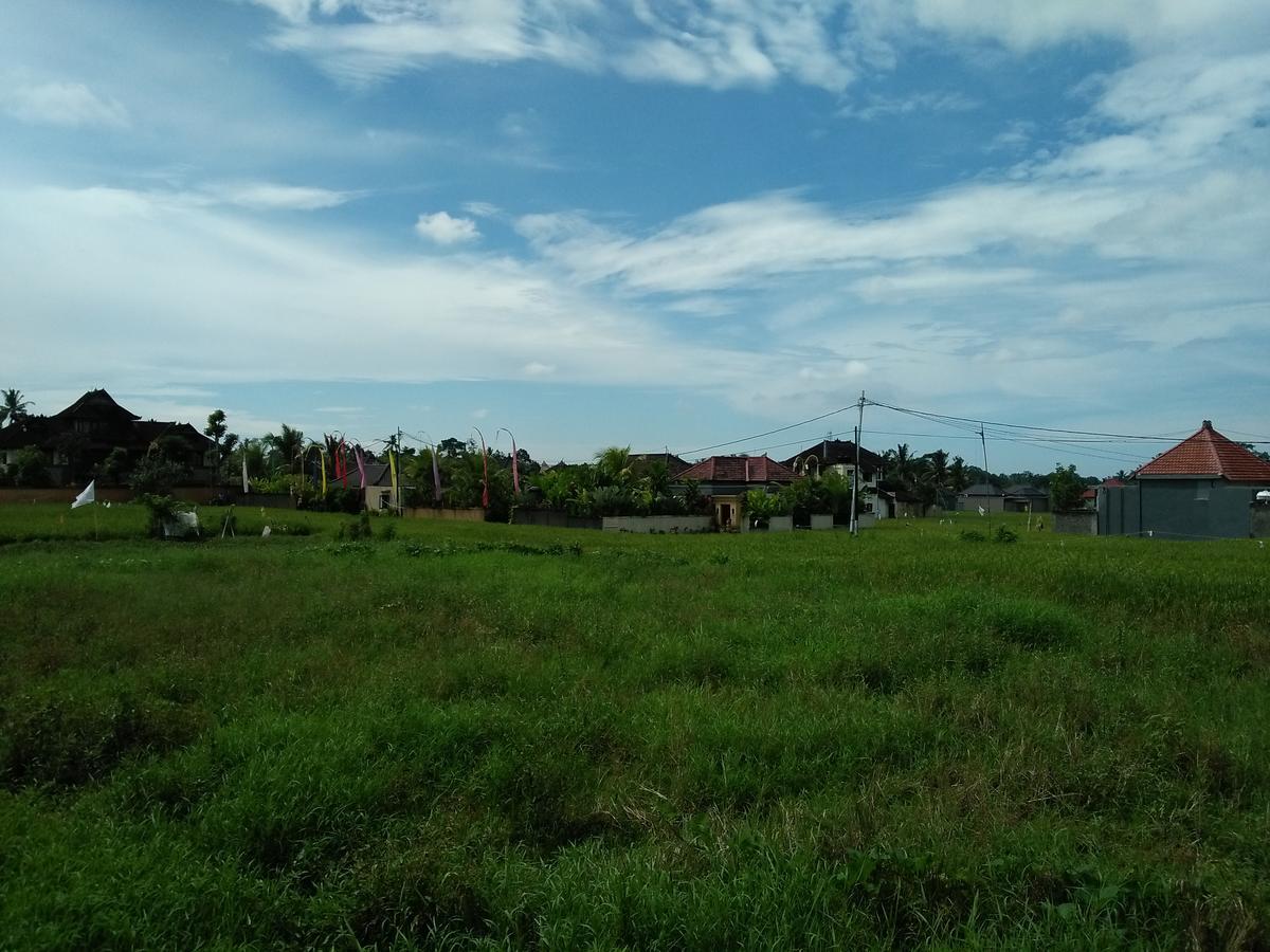 أوبود Rumah Rose المظهر الخارجي الصورة